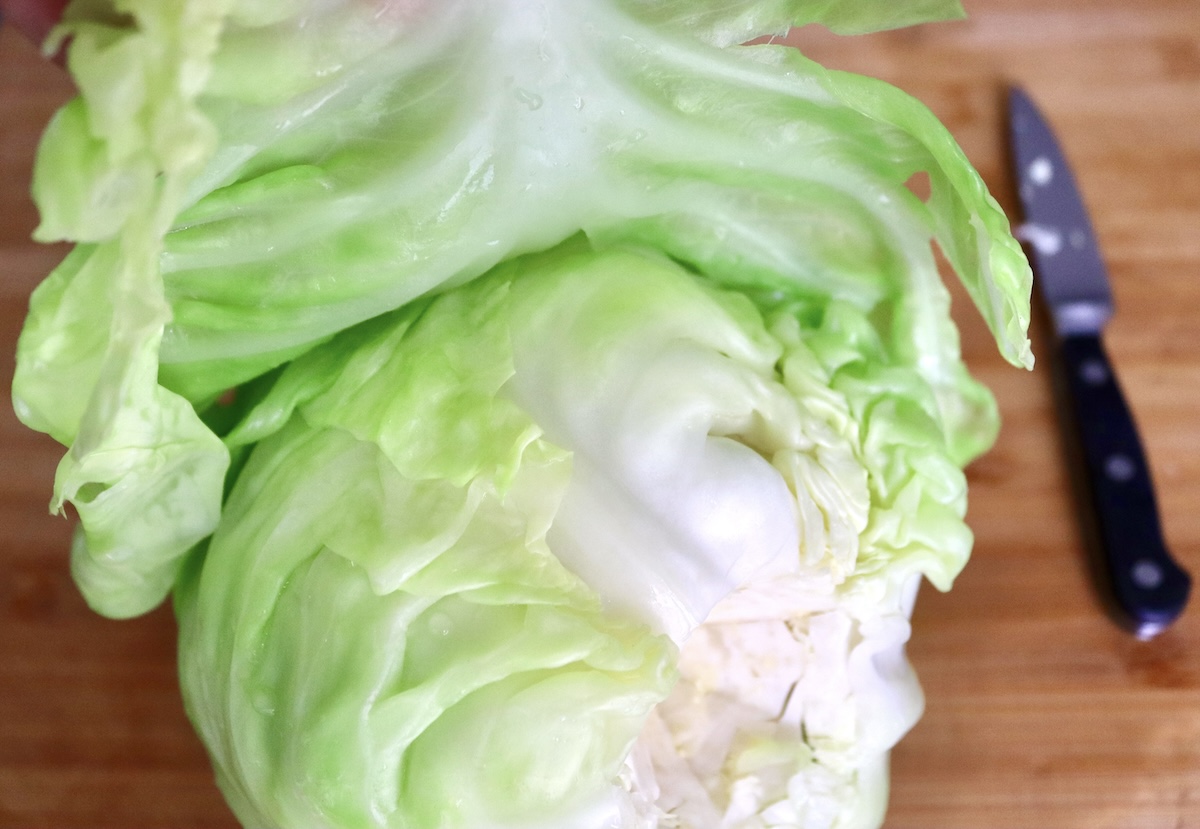 Cabbage leaf being pulled away from head of cabbage.