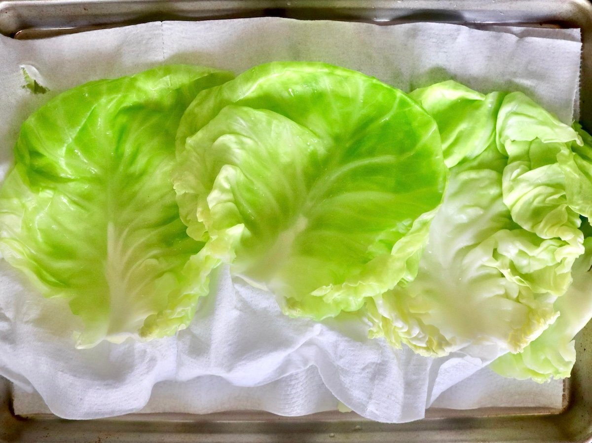 Layers of blanched cabbage leaves on paper towels on a sheet pan.