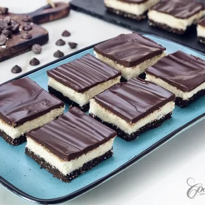 No-Bake Chocolate Biscuit Coconut Bars - main1