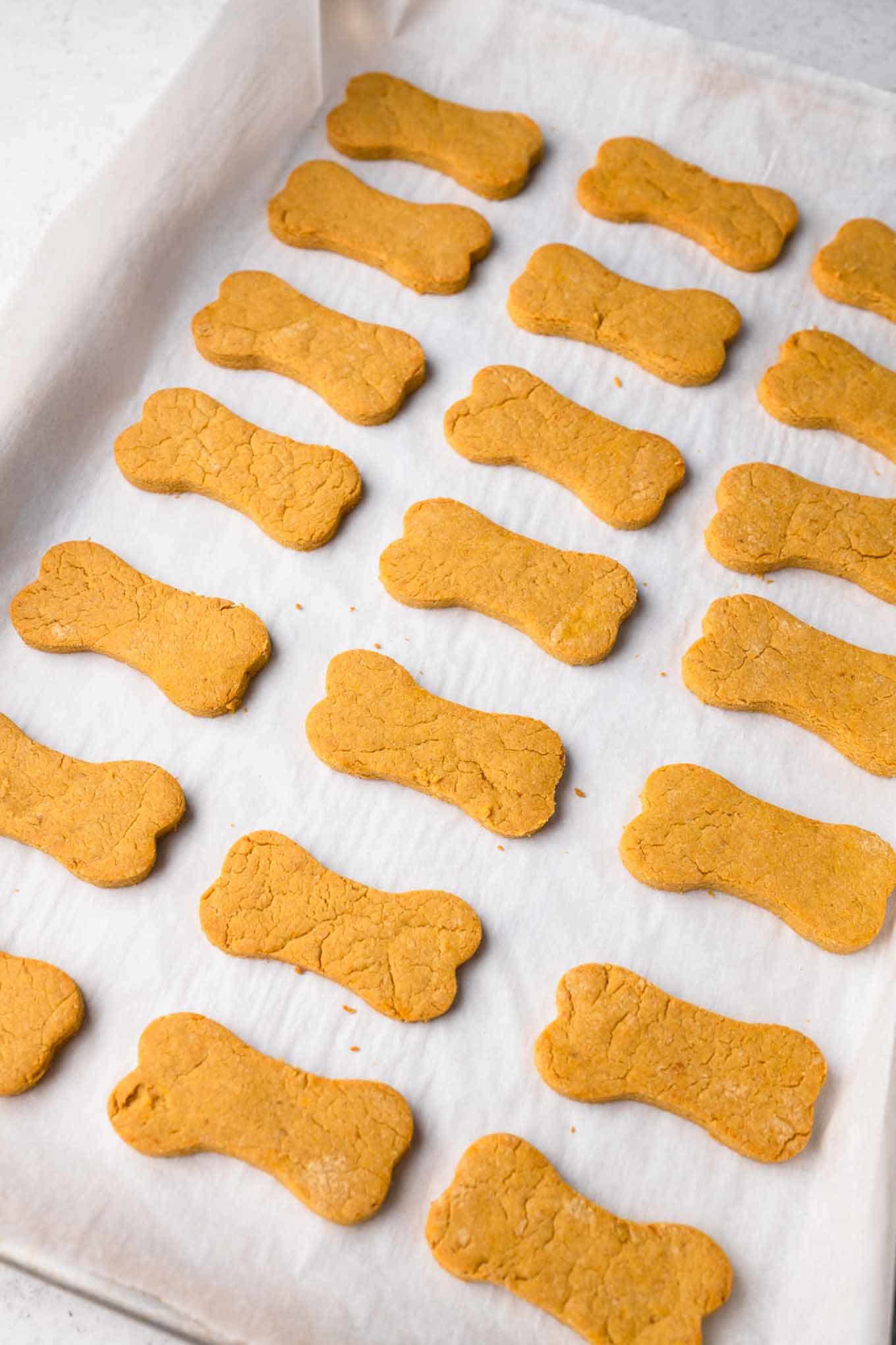 cooked dog treats on a baking tray