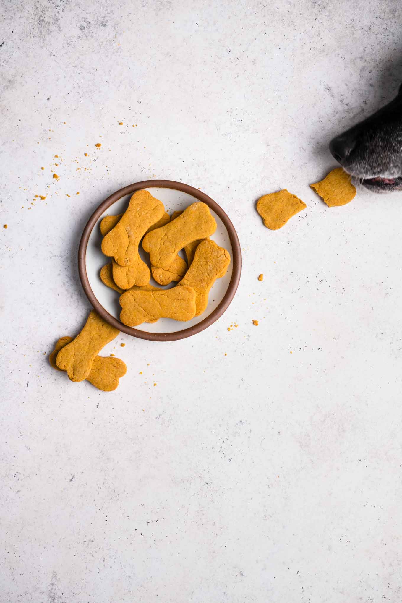 the dog is stealing a biscuit from the table